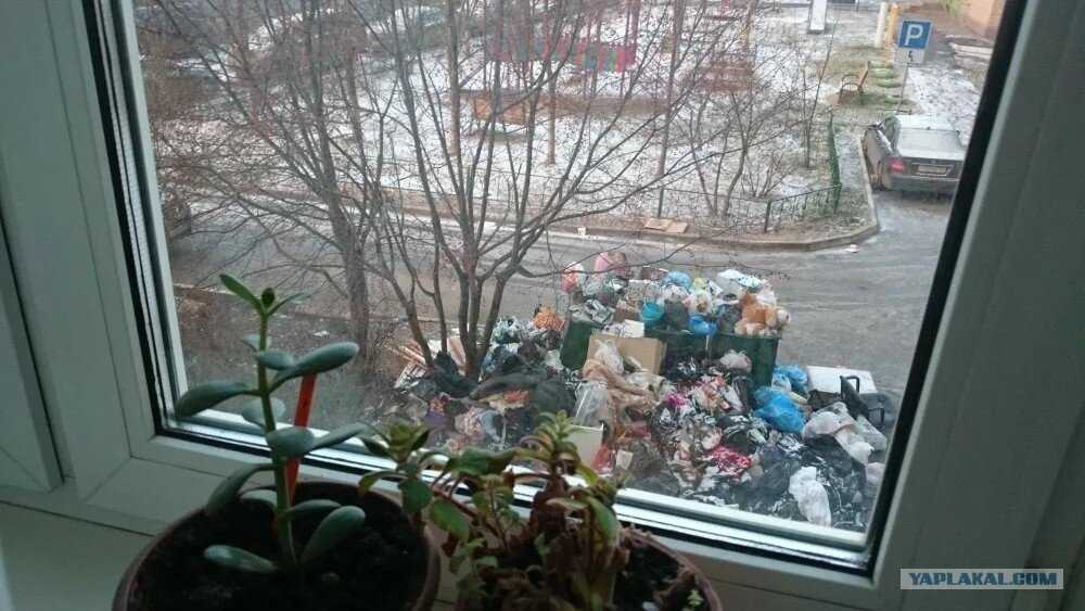 Анализ думы «иван сусанин. легендарный иван сусанин приобрел у рылеева анализ рассказа иван сусанин