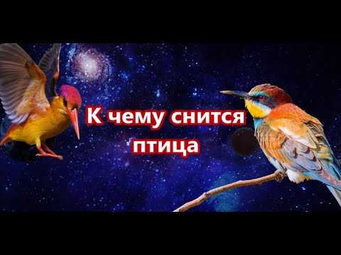 К чему приснились птицы женщине