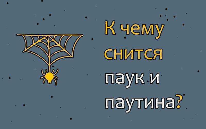 Что означает паутина во сне?