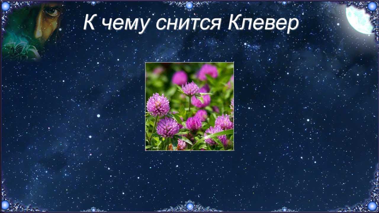 К чему снится букет цветов 💐 — топ толкований ✨ по 42 сонникам: что означает для мужчины или женщины видеть, держать или получать в подарок во сне красивый букетик