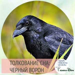 К чему приснился черный ворон?