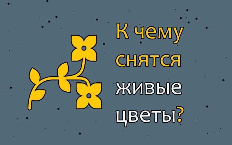 К чему снится букет цветов? толкование по 71 соннику