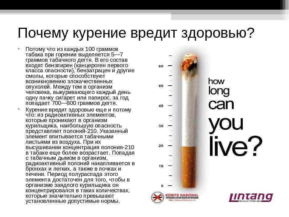 Что значит курить во сне: толкование сонника