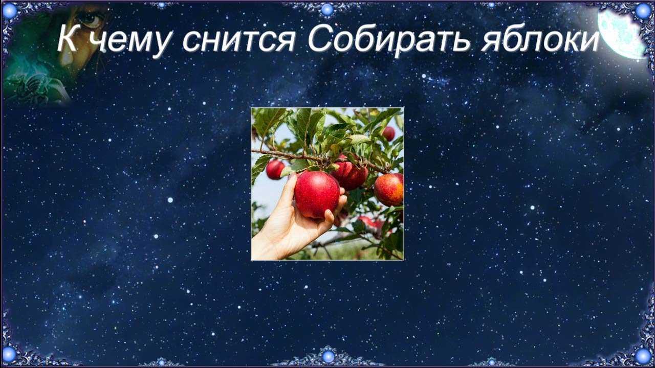 Что значит воровать вещи и быть обворованным во сне