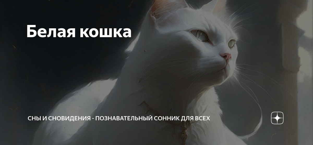 К чему снится поймать крысу — 29 значений сна