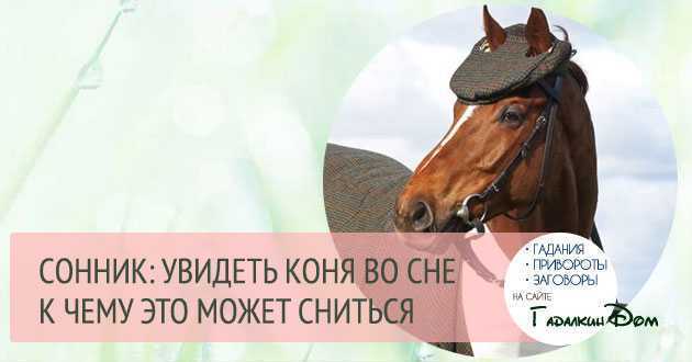 К чему снится лещ рыба