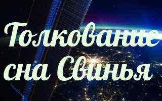 К чему снятся поросята - толкование сновидений