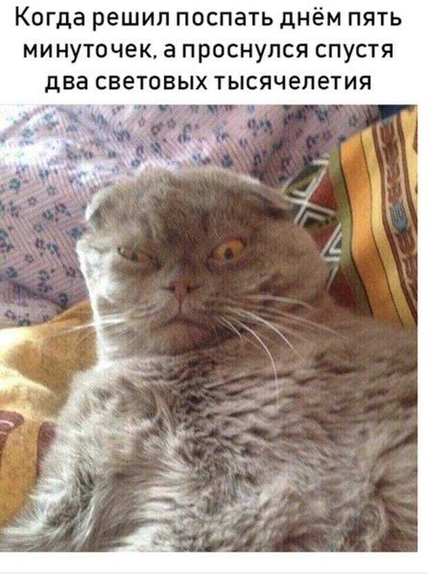 Мемы про сон детей