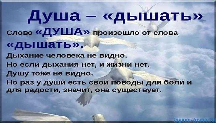 «мёртвые души» о чем пойдет речь? с древности большинство религий учит, что в человеке живет бессмертная субстанция. что происходит после смерти на самом деле? бессмертна ли душа человека?
