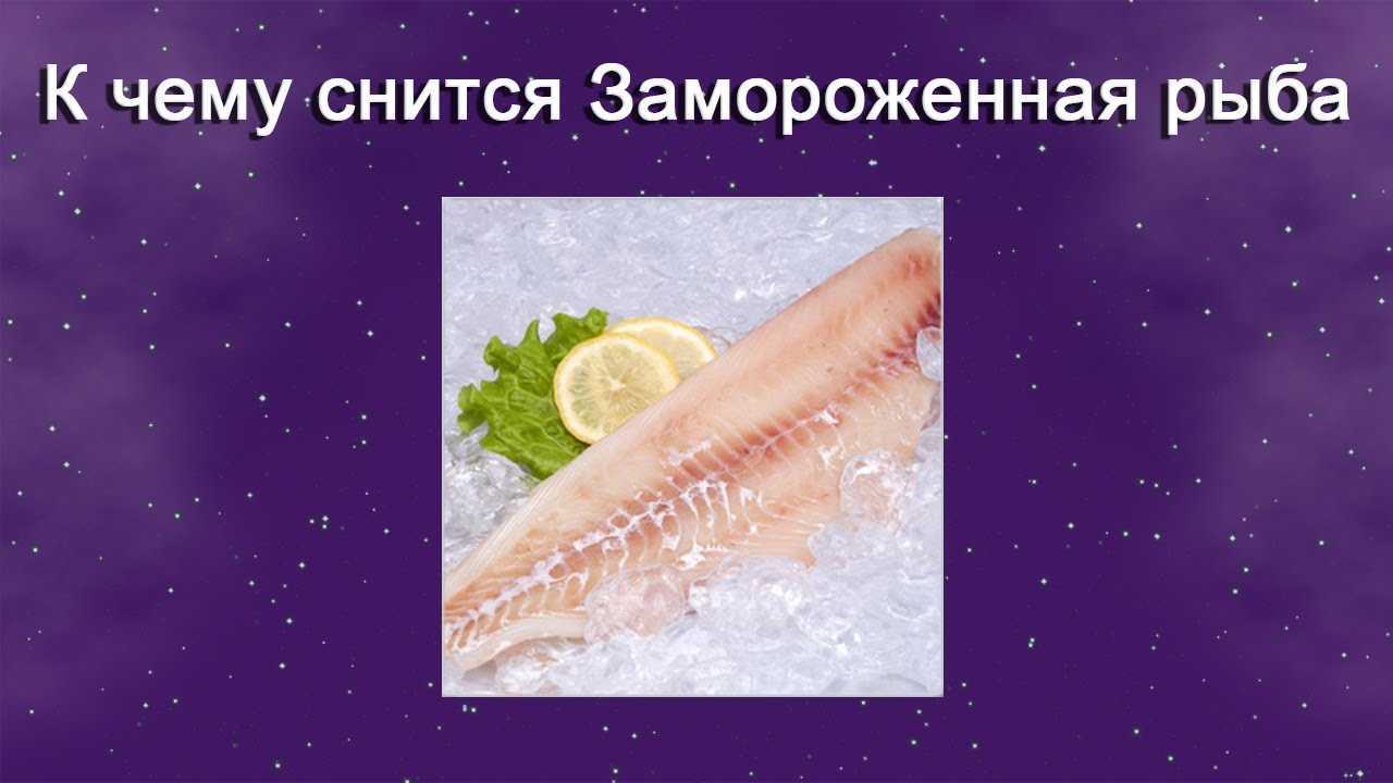 Многие знают, что сновидение про рыбу сулит прибыль, новые успехи и начинания, благополучие и удачу Но при толковании следует опираться на только не на