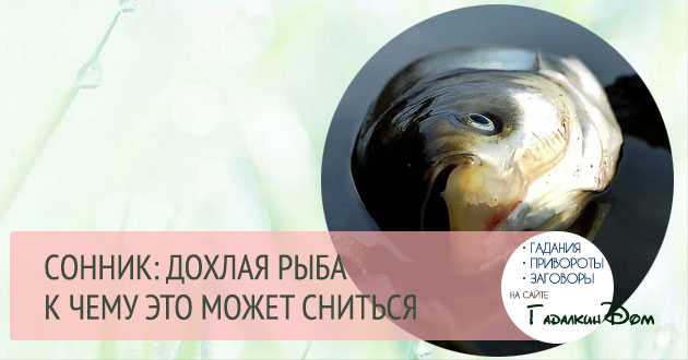 Кормить грудью ребенка по соннику