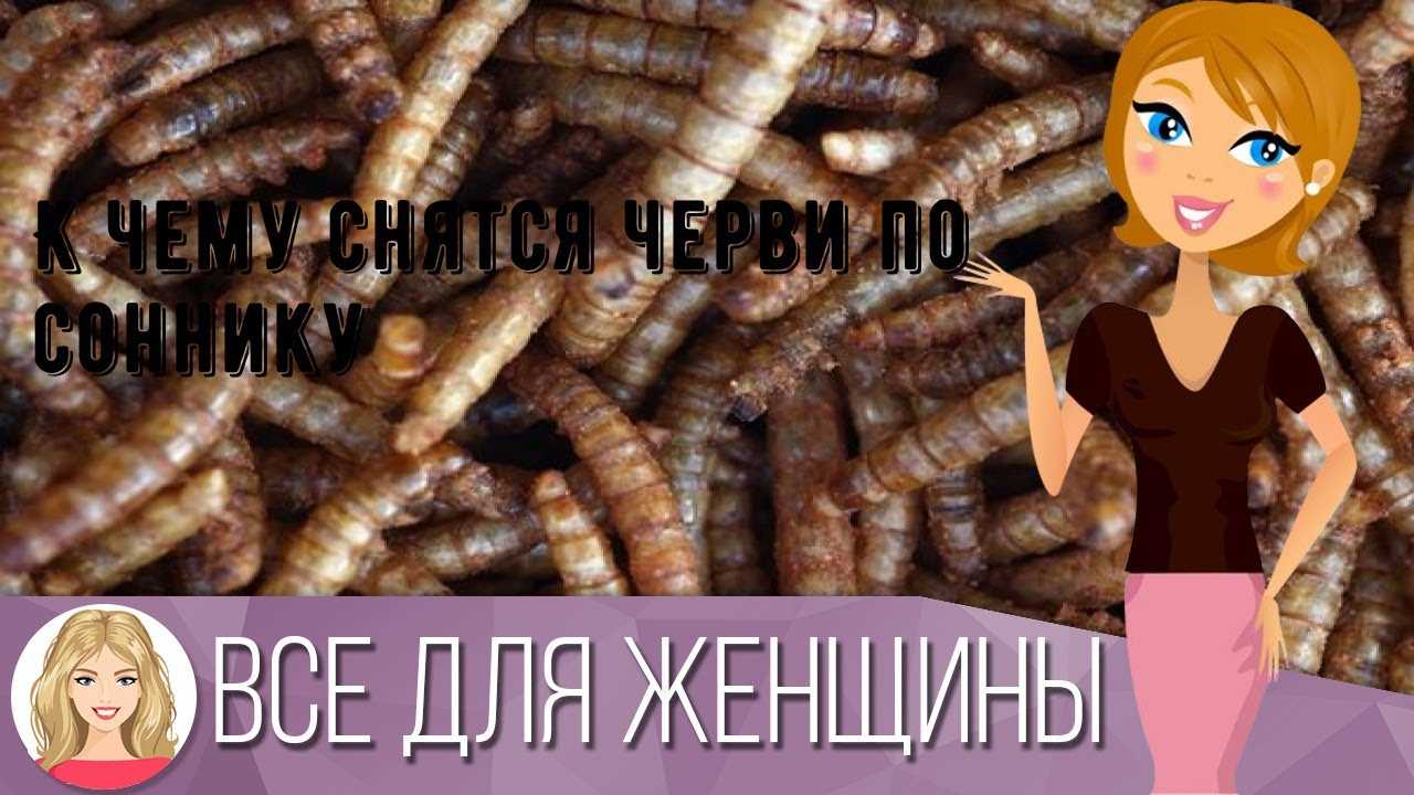 К чему снится личинки
