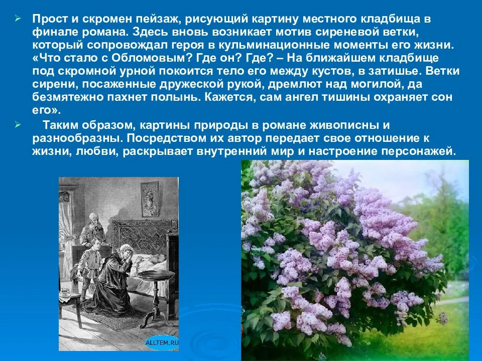 Краткое содержание и анализ «сна обломова»