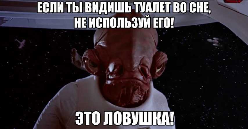 К чему снится общественный туалет: сонник про общественный туалет, сортир