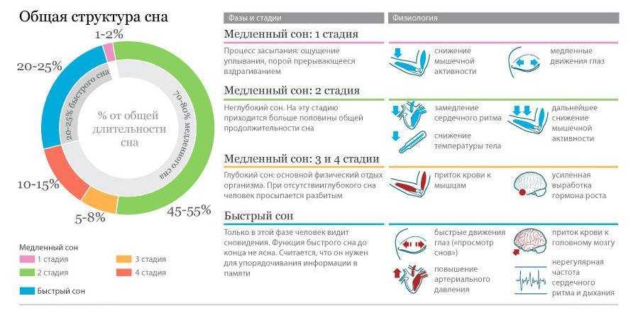 Почему сны не запоминаются: принцип работы мозга, яркие события дня и периоды сна