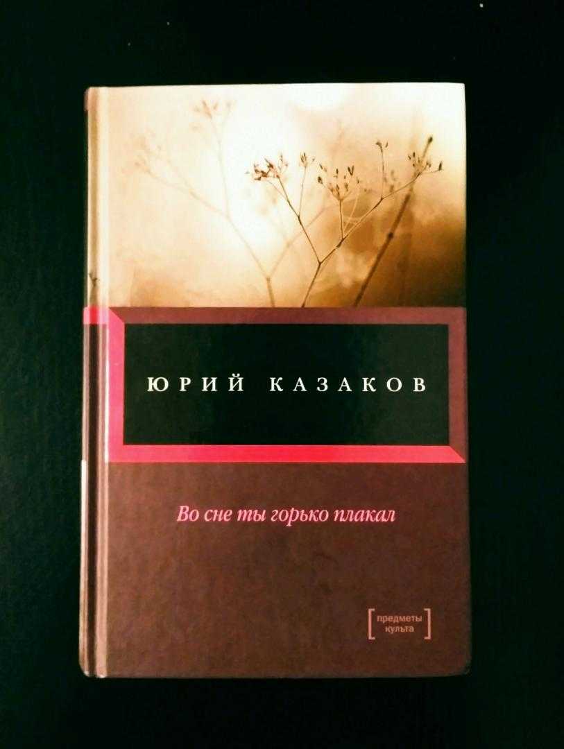 Во сне ты горько плакал о чем этот рассказ