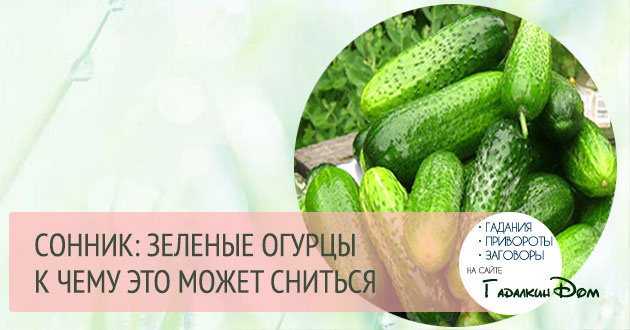 Видеть во сне огурцы означает крепкое здоровье Приближаются благоприятные изменения О прежних переживаниях и тревогах можно забыть Помните о своих