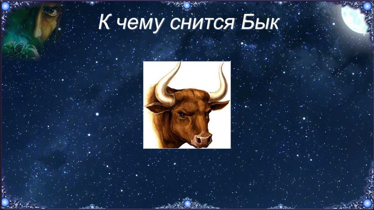 К чему снятся быки: толкования разных сонников, к чему снятся белые и черные животные