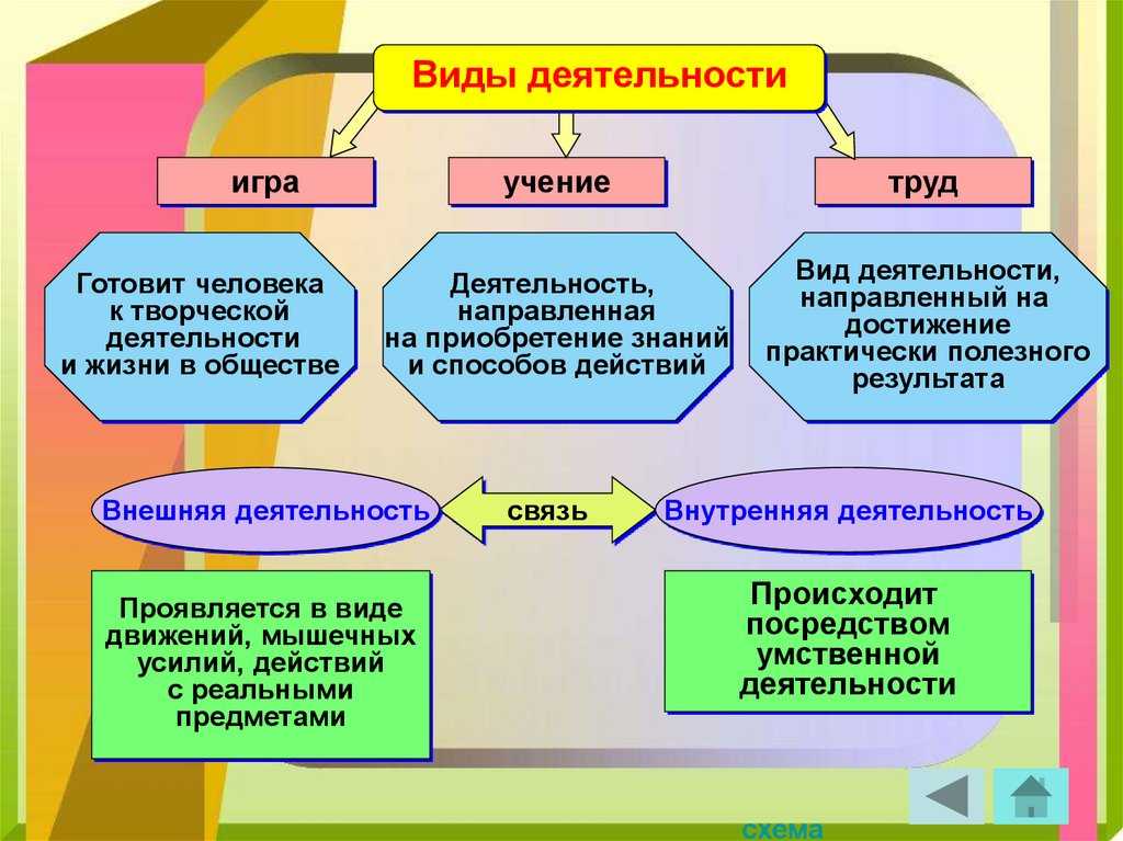 Какие бывают виды деятельности?