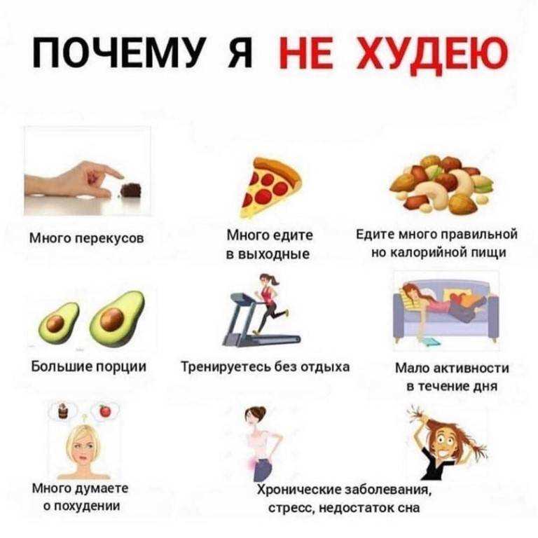 Все знают, что для похудения требуется прикладывать огромное количество усилий, чтобы достичь хоть какогото результата Для этого требуется соблюдать жесткую