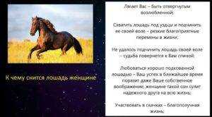 К чему снится табун лошадей 🐎 - топ 35 толкований 🌟 по разным сонникам для женщины и мужчины: видеть во сне стадо бегущих черных или белых красивых коней