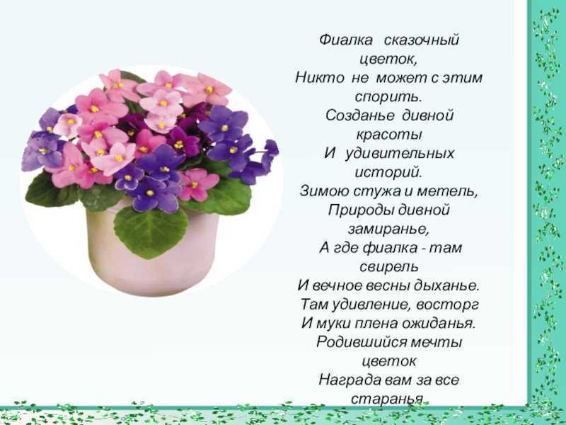 Поливать во сне засохшие цветы в горшках