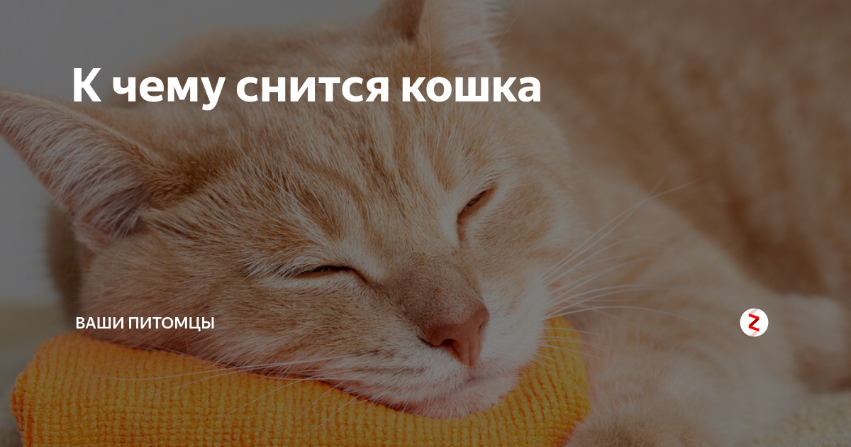 Вещие сны или виды снов: фантазия или божественное откровение