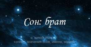 К чему снится драться с мужчиной или женщиной, толкования по сонникам, схватка с животным