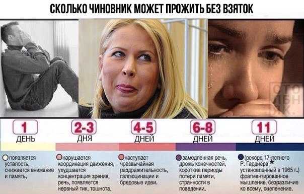 Поговорки про студентов — жизненные статусы