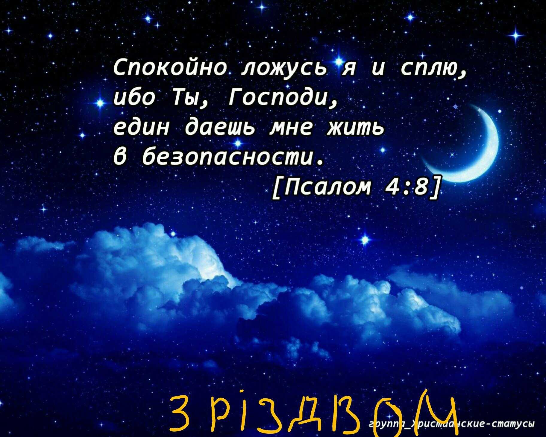 Добрый ночи или доброй ночи с котятами » собачки и кошечки