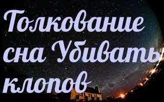 К чему снятся клопы - значение сновидения для женщины