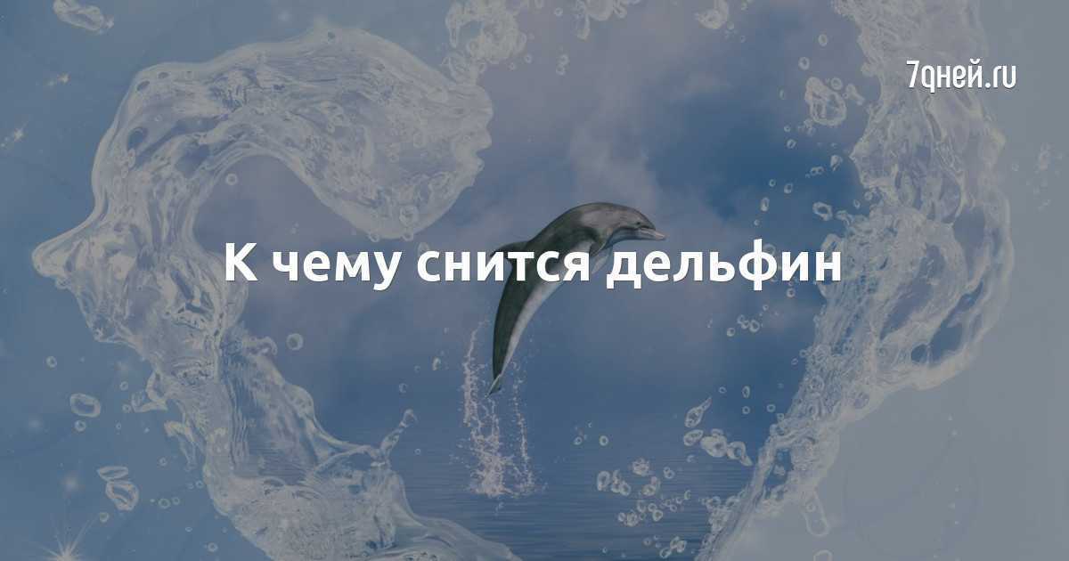 Плавать с дельфинами во сне - трактование для женщины