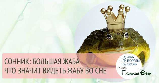 Сонник Желтая жаба приснилось, к чему снится во сне Желтая жаба Для выбора толкования сна введите ключевое слово из вашего сновидения в поисковую форму или