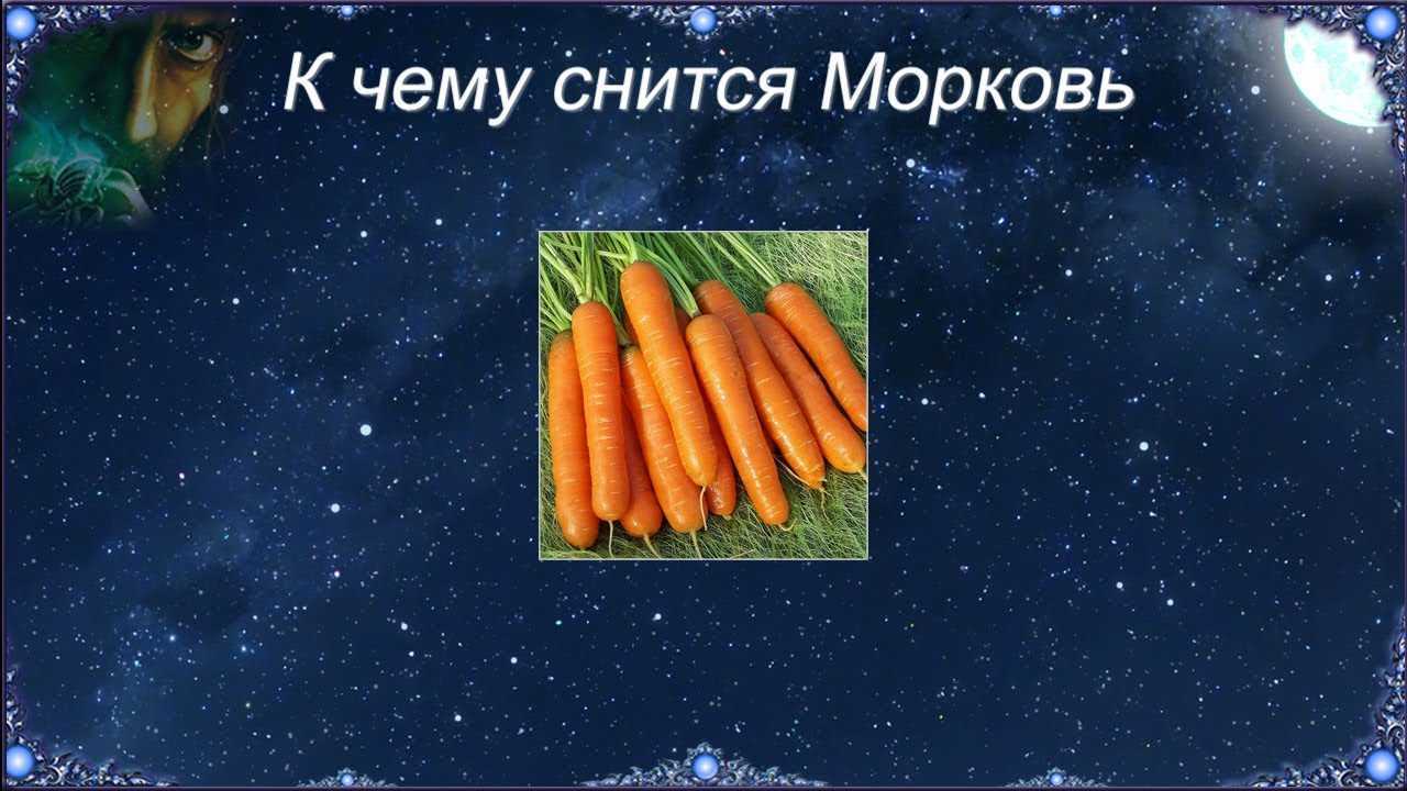 К чему снится много моркови