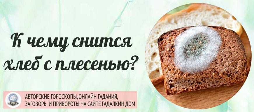 Плесневелый хлеб во сне гарантирует наяву неудачи и безденежье Причем, все это произойдет по собственной вине изза недобросовестного отношения к