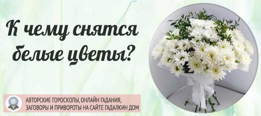 К чему снится венок: что говорят сонники ванги, нострадамуса, миллера и других. толкование снов о похоронном венке и действиях с ним - автор екатерина данилова - журнал женское мнение