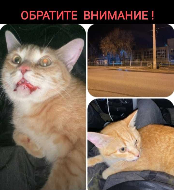 Позитивное мышление – путь к успеху в жизни