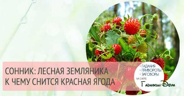 К чему снится клубника?
