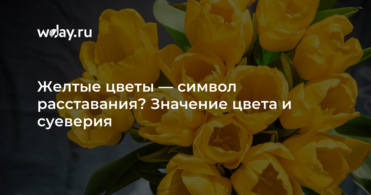 К чему снятся желтые цветы 🌻 - топ 40 толкований ❗ по сонникам: что значит во сне видеть в поле либо на поляне, собирать и дарить букет живых или искусственных цветочков