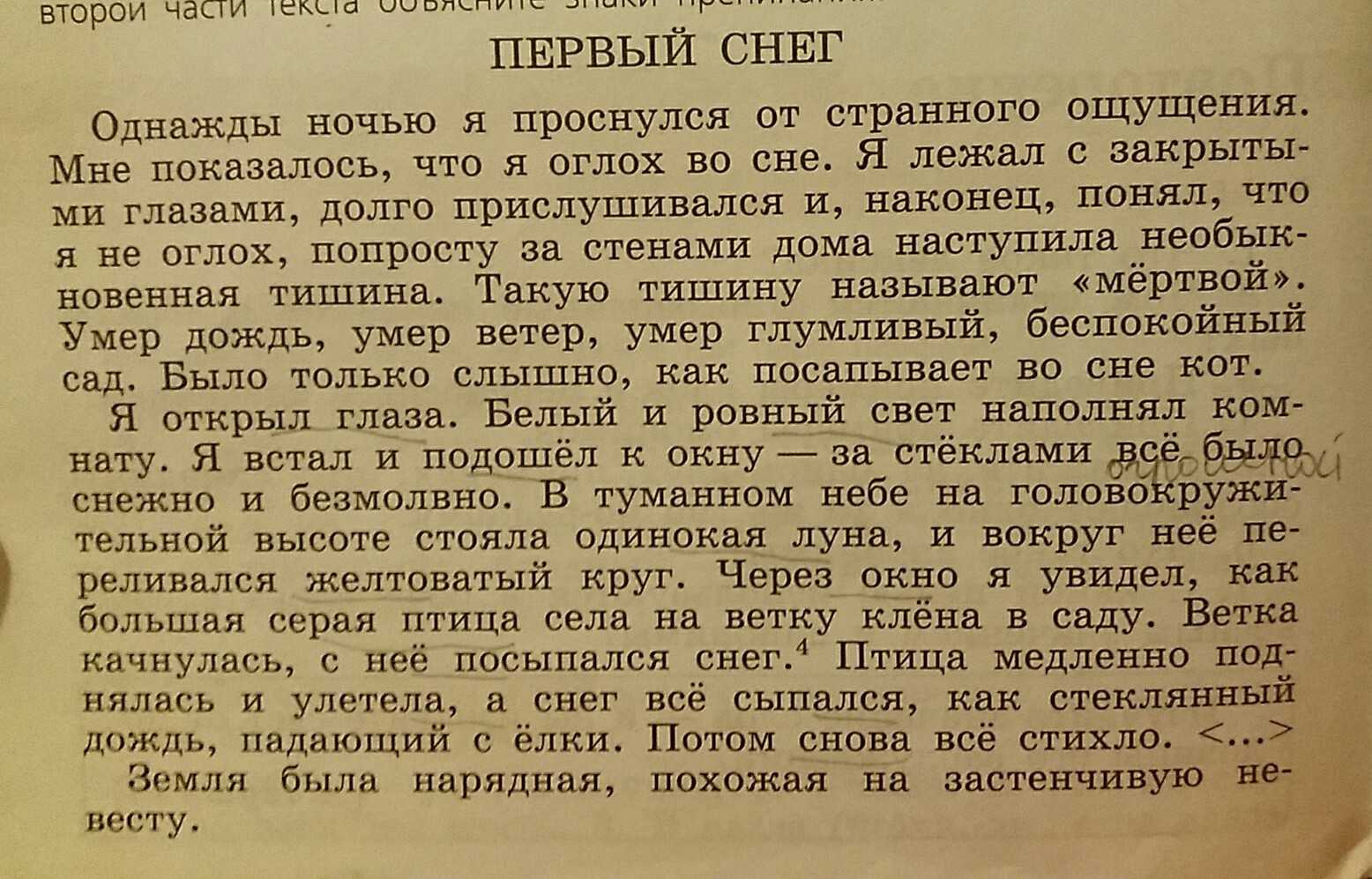 Изложение первый снег паустовский от третьего лица