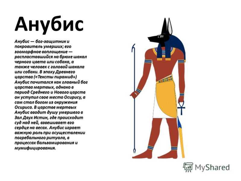 Приснился бог анубис - все инструкции в одном месте