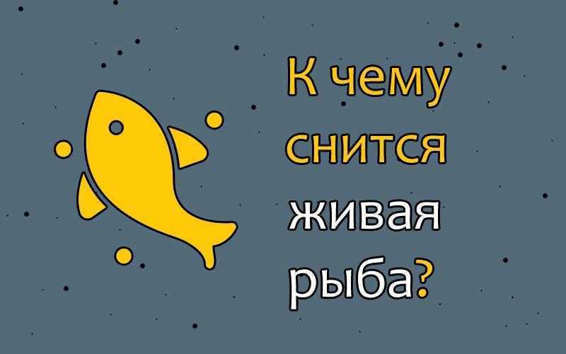 Сонник филе рыбы: к чему снится и что означает сон?