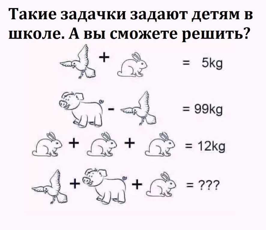 Время размять мозги: решаем задачи на логику