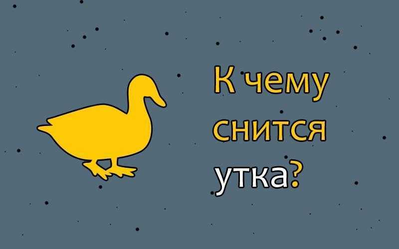 К чему снятся гуси. сонник про гусей во сне для женщин