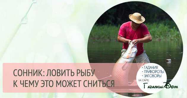 К чему снится ловить или поймать рыбу во сне мужчине или женщине? приснилось ловить рыбу в реке, беременной или с покойником? толкование по соннику миллера и ванги.