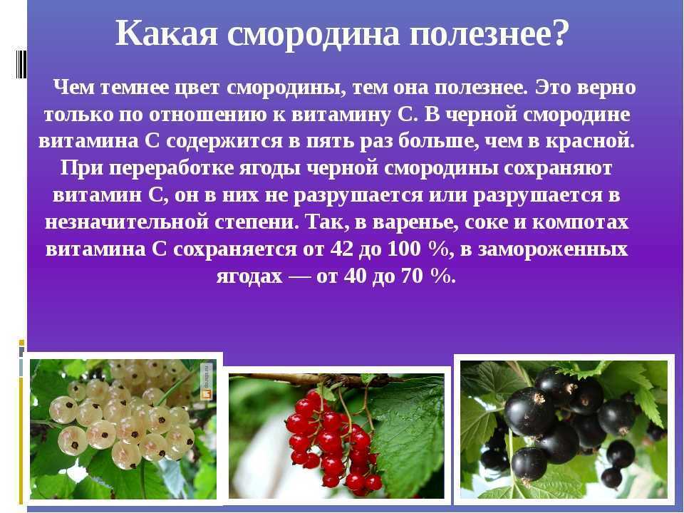 Сонник ягоды к чему снится во сне? видеть ягоды что означает?