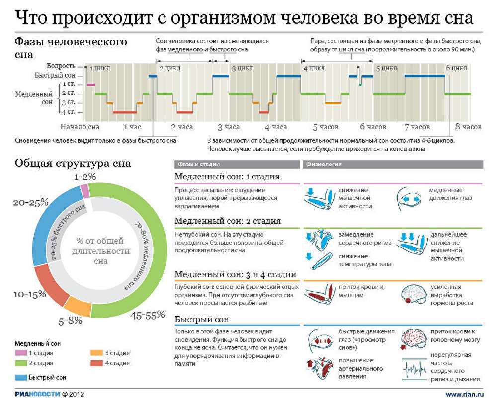 Фазы сна человека по времени, таблица значимости сна в разное время суток