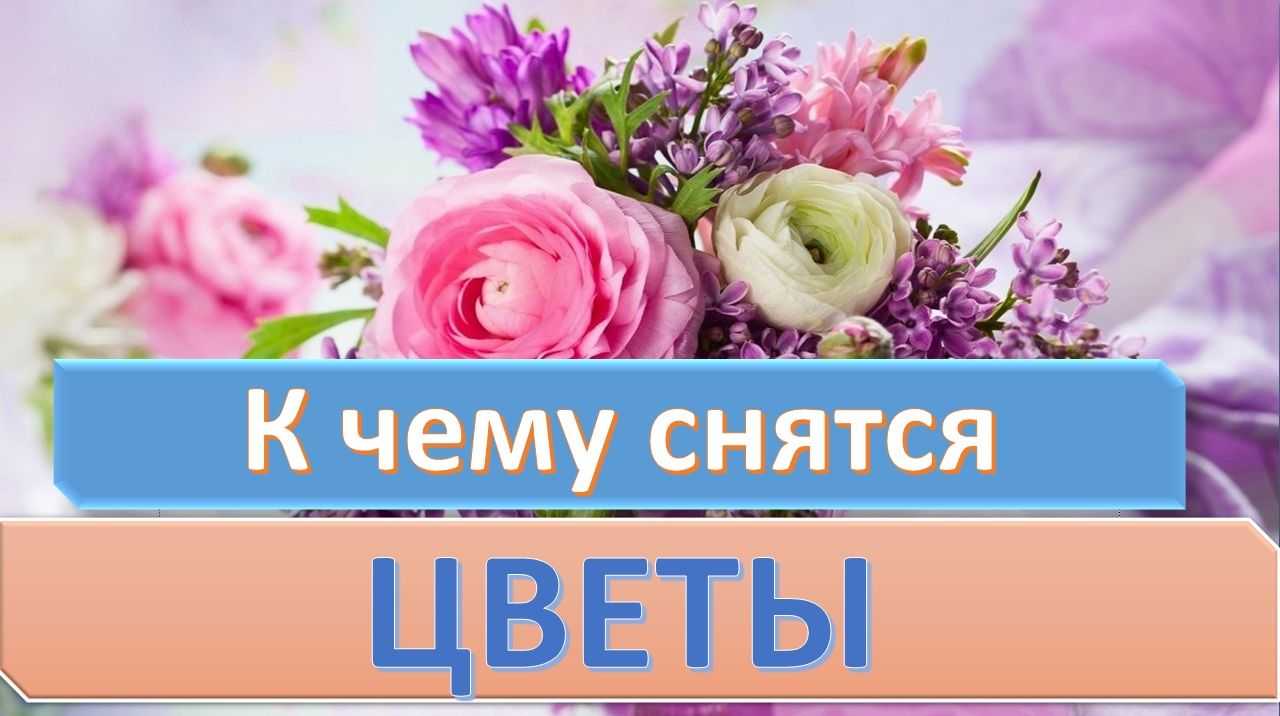 К чему снятся цветы