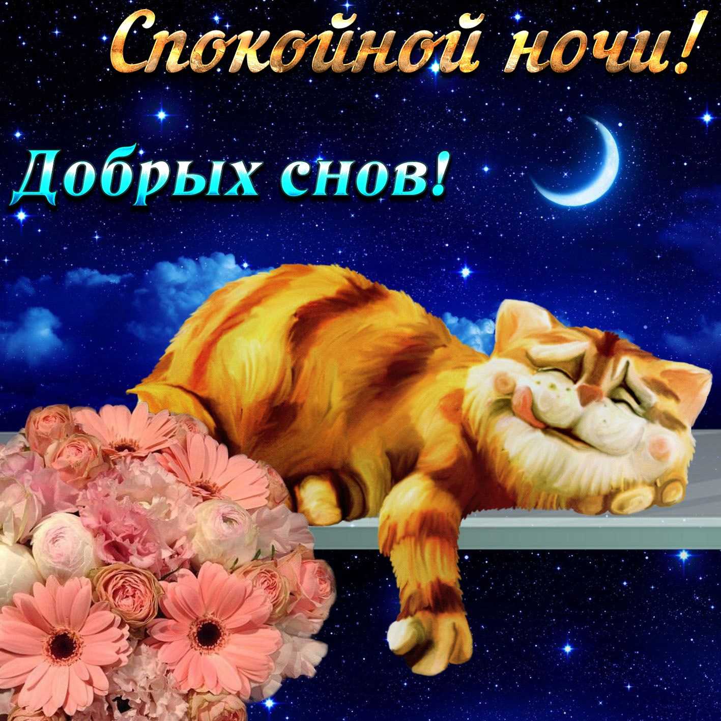 Спокойной ночи, доброй ночи: картинки, открытки