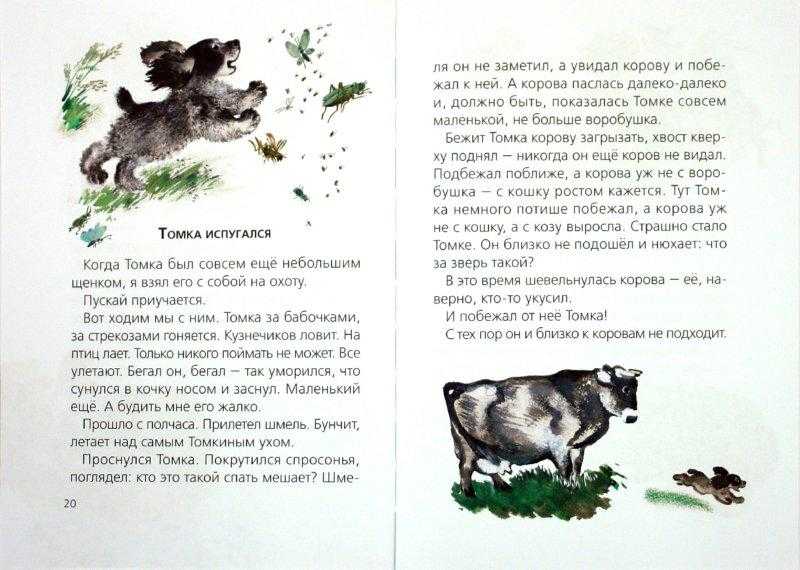 Томкины сны чарушин читать. томкины сны